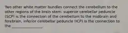 Two other white matter bundles connect the cerebellum to the other regions of the brain stem- superior cerebellar peduncle (SCP) is the connection of the cerebellum to the midbrain and forebrain, inferior cerebellar peduncle (ICP) is the connection to the _________________.