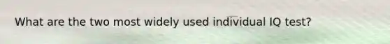 What are the two most widely used individual IQ test?