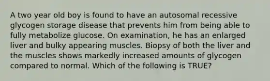 A two year old boy is found to have an autosomal recessive glycogen storage disease that prevents him from being able to fully metabolize glucose. On examination, he has an enlarged liver and bulky appearing muscles. Biopsy of both the liver and the muscles shows markedly increased amounts of glycogen compared to normal. Which of the following is TRUE?