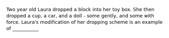 Two year old Laura dropped a block into her toy box. She then dropped a cup, a car, and a doll - some gently, and some with force. Laura's modification of her dropping scheme is an example of ___________