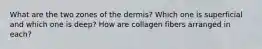 What are the two zones of the dermis? Which one is superficial and which one is deep? How are collagen fibers arranged in each?