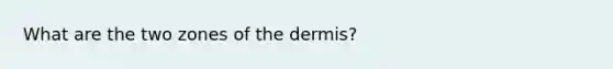 What are the two zones of the dermis?