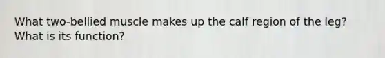 What two-bellied muscle makes up the calf region of the leg? What is its function?