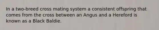 In a two-breed cross mating system a consistent offspring that comes from the cross between an Angus and a Hereford is known as a Black Baldie.