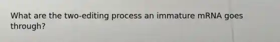 What are the two-editing process an immature mRNA goes through?