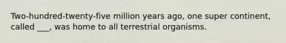 Two-hundred-twenty-five million years ago, one super continent, called ___, was home to all terrestrial organisms.