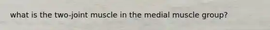 what is the two-joint muscle in the medial muscle group?