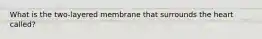 What is the two-layered membrane that surrounds the heart called?