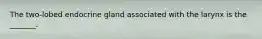 The two-lobed endocrine gland associated with the larynx is the _______.