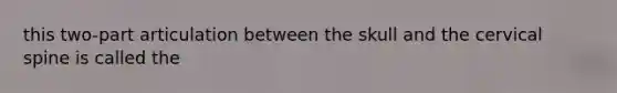 this two-part articulation between the skull and the cervical spine is called the