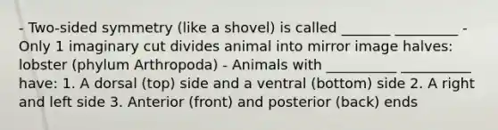 - Two-sided symmetry (like a shovel) is called _______ _________ - Only 1 imaginary cut divides animal into mirror image halves: lobster (phylum Arthropoda) - Animals with __________ __________ have: 1. A dorsal (top) side and a ventral (bottom) side 2. A right and left side 3. Anterior (front) and posterior (back) ends