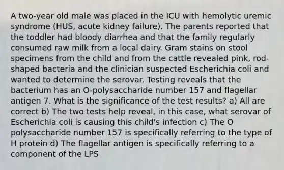 A two-year old male was placed in the ICU with hemolytic uremic syndrome (HUS, acute kidney failure). The parents reported that the toddler had bloody diarrhea and that the family regularly consumed raw milk from a local dairy. Gram stains on stool specimens from the child and from the cattle revealed pink, rod-shaped bacteria and the clinician suspected Escherichia coli and wanted to determine the serovar. Testing reveals that the bacterium has an O-polysaccharide number 157 and flagellar antigen 7. What is the significance of the test results? a) All are correct b) The two tests help reveal, in this case, what serovar of Escherichia coli is causing this child's infection c) The O polysaccharide number 157 is specifically referring to the type of H protein d) The flagellar antigen is specifically referring to a component of the LPS