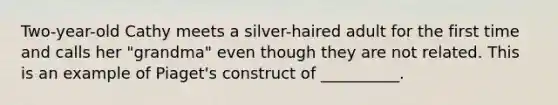 Two-year-old Cathy meets a silver-haired adult for the first time and calls her "grandma" even though they are not related. This is an example of Piaget's construct of __________.