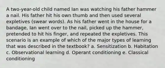 A two-year-old child named Ian was watching his father hammer a nail. His father hit his own thumb and then used several expletives (swear words). As his father went in the house for a bandage, Ian went over to the nail, picked up the hammer, pretended to hit his finger, and repeated the expletives. This scenario is an example of which of the major types of learning that was described in the textbook? a. Sensitization b. Habitation c. Observational learning d. Operant conditioning e. Classical conditioning