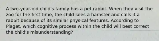 A two-year-old child's family has a pet rabbit. When they visit the zoo for the first time, the child sees a hamster and calls it a rabbit because of its similar physical features. According to Piaget, which cognitive process within the child will best correct the child's misunderstanding?