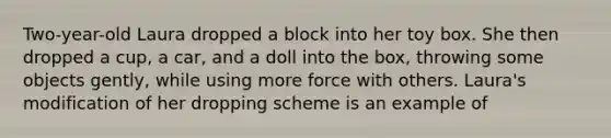 Two-year-old Laura dropped a block into her toy box. She then dropped a cup, a car, and a doll into the box, throwing some objects gently, while using more force with others. Laura's modification of her dropping scheme is an example of