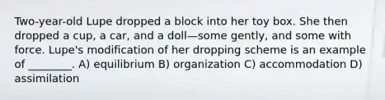 Two-year-old Lupe dropped a block into her toy box. She then dropped a cup, a car, and a doll—some gently, and some with force. Lupe's modification of her dropping scheme is an example of ________. A) equilibrium B) organization C) accommodation D) assimilation