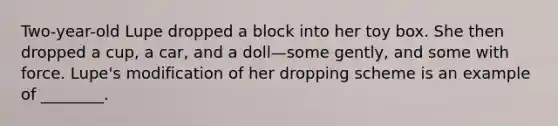 Two-year-old Lupe dropped a block into her toy box. She then dropped a cup, a car, and a doll—some gently, and some with force. Lupe's modification of her dropping scheme is an example of ________.