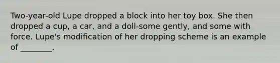 Two-year-old Lupe dropped a block into her toy box. She then dropped a cup, a car, and a doll-some gently, and some with force. Lupe's modification of her dropping scheme is an example of ________.