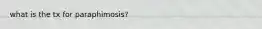 what is the tx for paraphimosis?