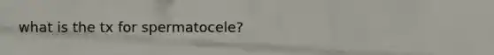 what is the tx for spermatocele?