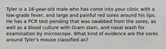 Tyler is a 16-year-old male who has come into your clinic with a low-grade fever, and large and painful red sores around his lips. He has a PCR test pending that was swabbed from the sores, as well as a blood culture with Gram stain, and nasal wash for examination by microscope. What kind of evidence are the sores around Tyler's mouse classified as?