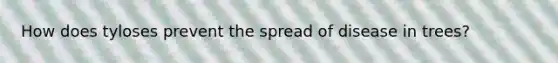 How does tyloses prevent the spread of disease in trees?