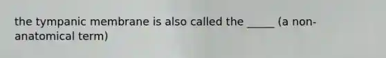 the tympanic membrane is also called the _____ (a non-anatomical term)