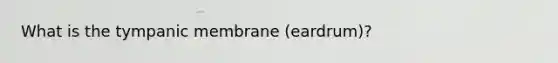 What is the tympanic membrane (eardrum)?