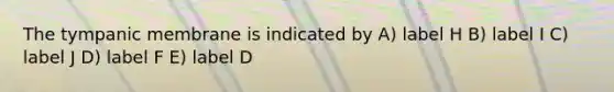 The tympanic membrane is indicated by A) label H B) label I C) label J D) label F E) label D