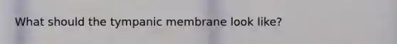 What should the tympanic membrane look like?