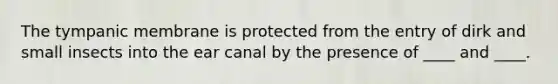 The tympanic membrane is protected from the entry of dirk and small insects into the ear canal by the presence of ____ and ____.