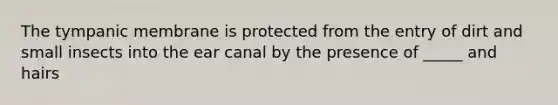 The tympanic membrane is protected from the entry of dirt and small insects into the ear canal by the presence of _____ and hairs