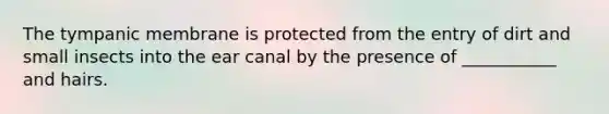 The tympanic membrane is protected from the entry of dirt and small insects into the ear canal by the presence of ___________ and hairs.