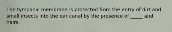 The tympanic membrane is protected from the entry of dirt and small insects into the ear canal by the presence of _____ and hairs.