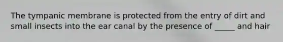 The tympanic membrane is protected from the entry of dirt and small insects into the ear canal by the presence of _____ and hair