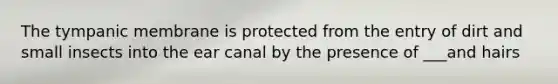 The tympanic membrane is protected from the entry of dirt and small insects into the ear canal by the presence of ___and hairs