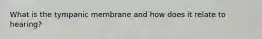 What is the tympanic membrane and how does it relate to hearing?