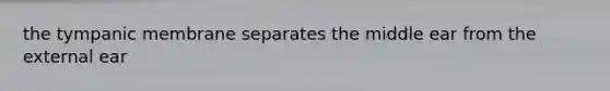 the tympanic membrane separates the middle ear from the external ear
