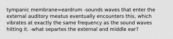 tympanic membrane=eardrum -sounds waves that enter the external auditory meatus eventually encounters this, which vibrates at exactly the same frequency as the sound waves hitting it. -what separtes the external and middle ear?