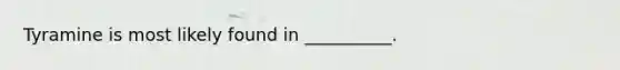 Tyramine is most likely found in __________.