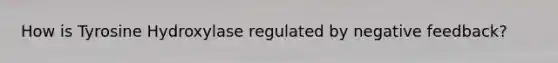 How is Tyrosine Hydroxylase regulated by negative feedback?