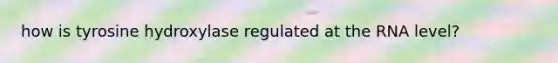 how is tyrosine hydroxylase regulated at the RNA level?