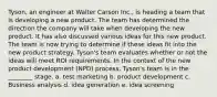 Tyson, an engineer at Walter Carson Inc., is heading a team that is developing a new product. The team has determined the direction the company will take when developing the new product. It has also discussed various ideas for this new product. The team is now trying to determine if these ideas fit into the new product strategy. Tyson's team evaluates whether or not the ideas will meet ROI requirements. In the context of the new product development (NPD) process, Tyson's team is in the ________ stage. a. test marketing b. product development c. Business analysis d. idea generation e. idea screening