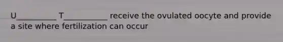 U__________ T___________ receive the ovulated oocyte and provide a site where fertilization can occur