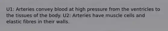 U1: Arteries convey blood at high pressure from the ventricles to the tissues of the body. U2: Arteries have muscle cells and elastic fibres in their walls.