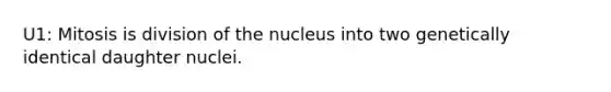 U1: Mitosis is division of the nucleus into two genetically identical daughter nuclei.