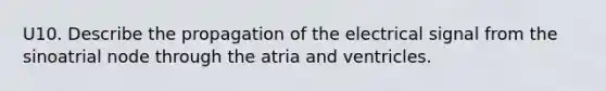 U10. Describe the propagation of the electrical signal from the sinoatrial node through the atria and ventricles.