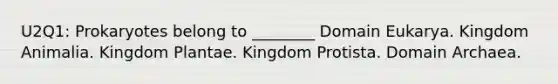 U2Q1: Prokaryotes belong to ________ Domain Eukarya. Kingdom Animalia. Kingdom Plantae. Kingdom Protista. <a href='https://www.questionai.com/knowledge/kfXw10Rlnk-domain-archaea' class='anchor-knowledge'>domain archaea</a>.