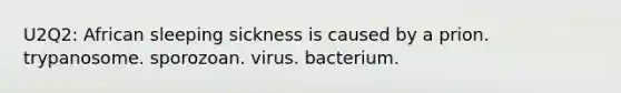 U2Q2: African sleeping sickness is caused by a prion. trypanosome. sporozoan. virus. bacterium.